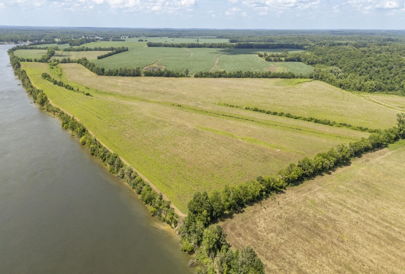 10157 CLIFTON RD, Savannah, Tennessee 38372, ,Land,For Sale,CLIFTON,10223864
