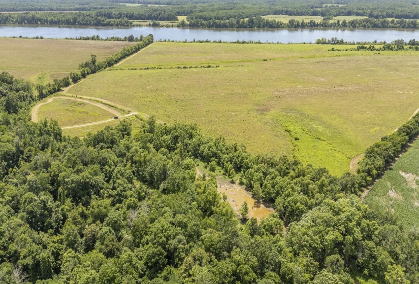 10157 CLIFTON RD, Savannah, Tennessee 38372, ,Land,For Sale,CLIFTON,10223864