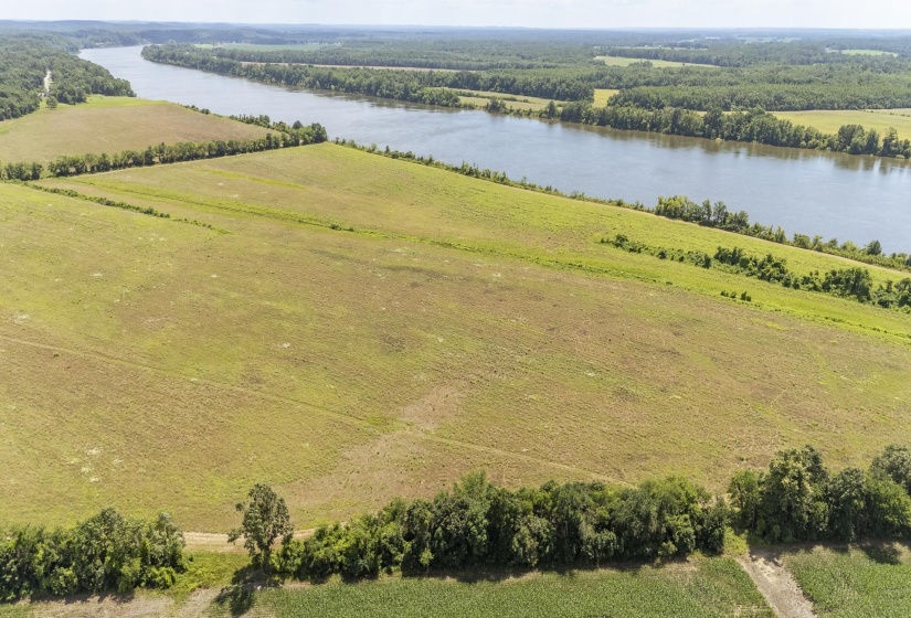 10157 CLIFTON RD, Savannah, Tennessee 38372, ,Land,For Sale,CLIFTON,10223864