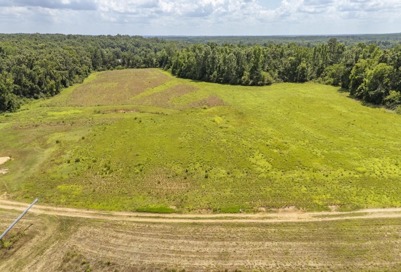 10157 CLIFTON RD, Savannah, Tennessee 38372, ,Land,For Sale,CLIFTON,10223864