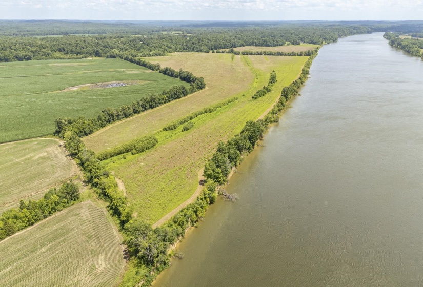 10157 CLIFTON RD, Savannah, Tennessee 38372, ,Land,For Sale,CLIFTON,10223864