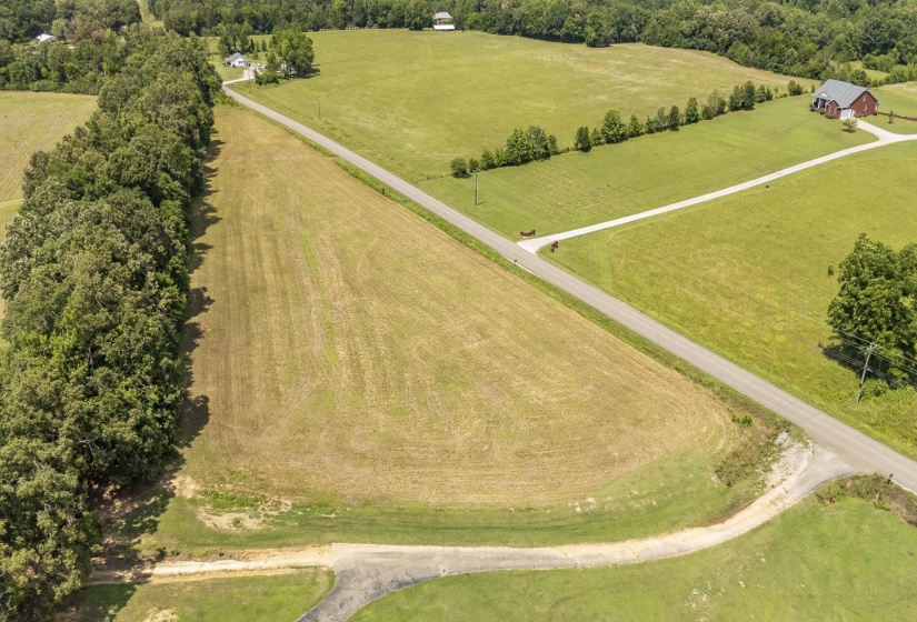 10157 CLIFTON RD, Savannah, Tennessee 38372, ,Land,For Sale,CLIFTON,10223864