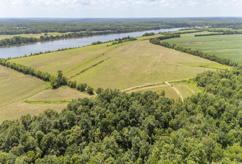 10157 CLIFTON RD, Savannah, Tennessee 38372, ,Land,For Sale,CLIFTON,10223864