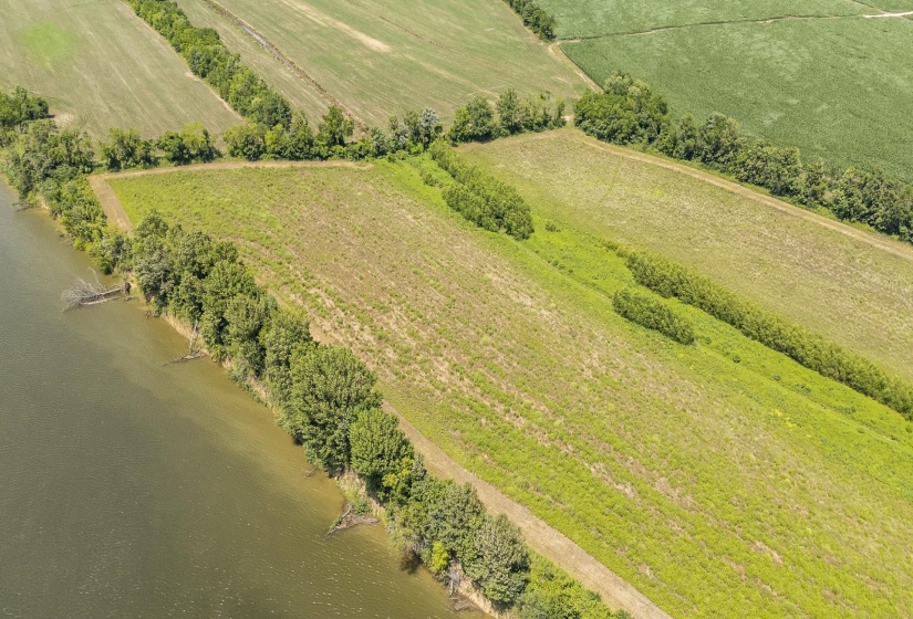 10157 CLIFTON RD, Savannah, Tennessee 38372, ,Land,For Sale,CLIFTON,10223864