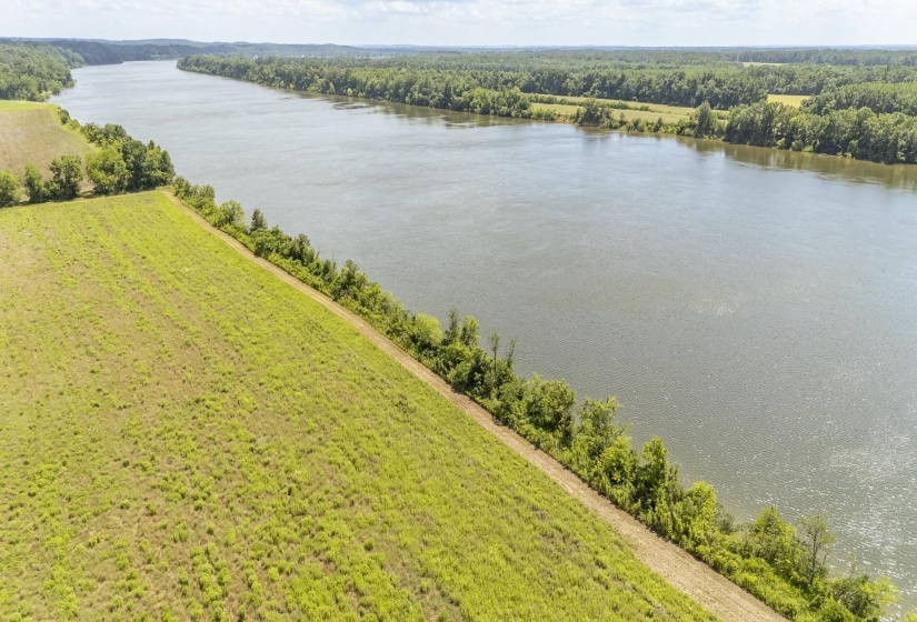 10157 CLIFTON RD, Savannah, Tennessee 38372, ,Land,For Sale,CLIFTON,10223864