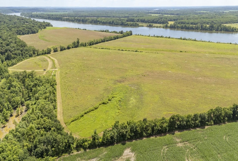 10157 CLIFTON RD, Savannah, Tennessee 38372, ,Land,For Sale,CLIFTON,10223864