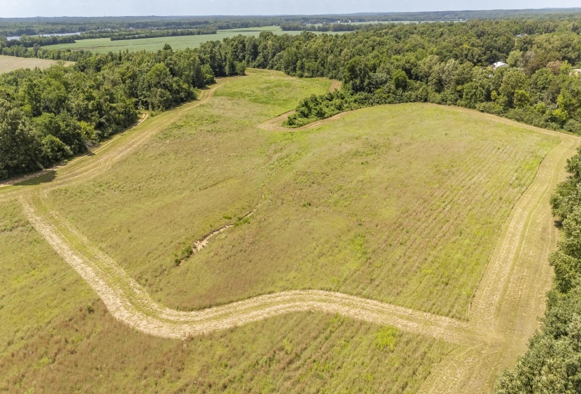 10157 CLIFTON RD, Savannah, Tennessee 38372, ,Land,For Sale,CLIFTON,10223864