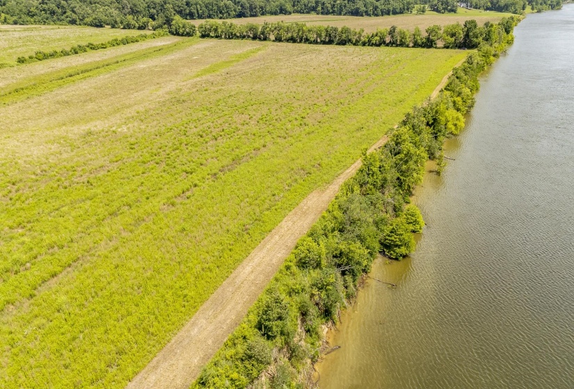 10157 CLIFTON RD, Savannah, Tennessee 38372, ,Land,For Sale,CLIFTON,10223864