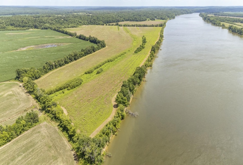 10157 CLIFTON RD, Savannah, Tennessee 38372, ,Land,For Sale,CLIFTON,10223864