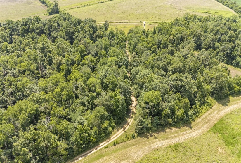 10157 CLIFTON RD, Savannah, Tennessee 38372, ,Land,For Sale,CLIFTON,10223864