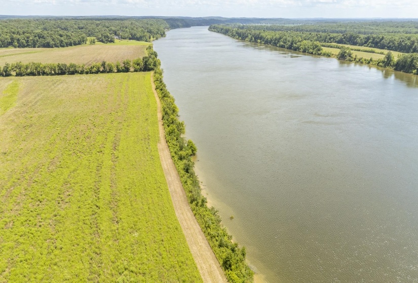 10157 CLIFTON RD, Savannah, Tennessee 38372, ,Land,For Sale,CLIFTON,10223864