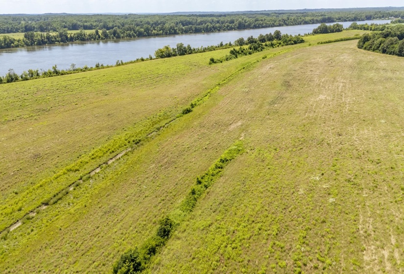 10157 CLIFTON RD, Savannah, Tennessee 38372, ,Land,For Sale,CLIFTON,10223864