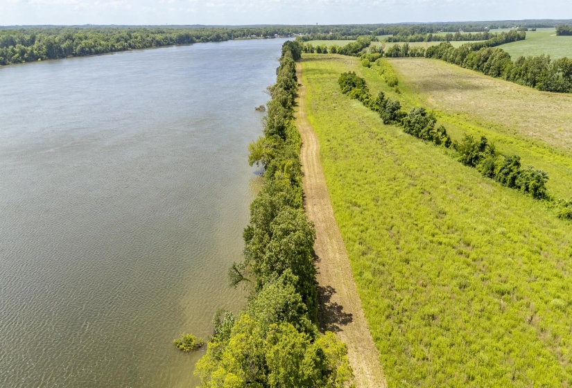 10157 CLIFTON RD, Savannah, Tennessee 38372, ,Land,For Sale,CLIFTON,10223864
