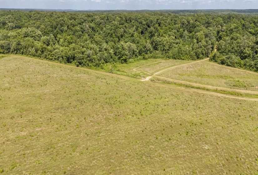 10157 CLIFTON RD, Savannah, Tennessee 38372, ,Land,For Sale,CLIFTON,10223864