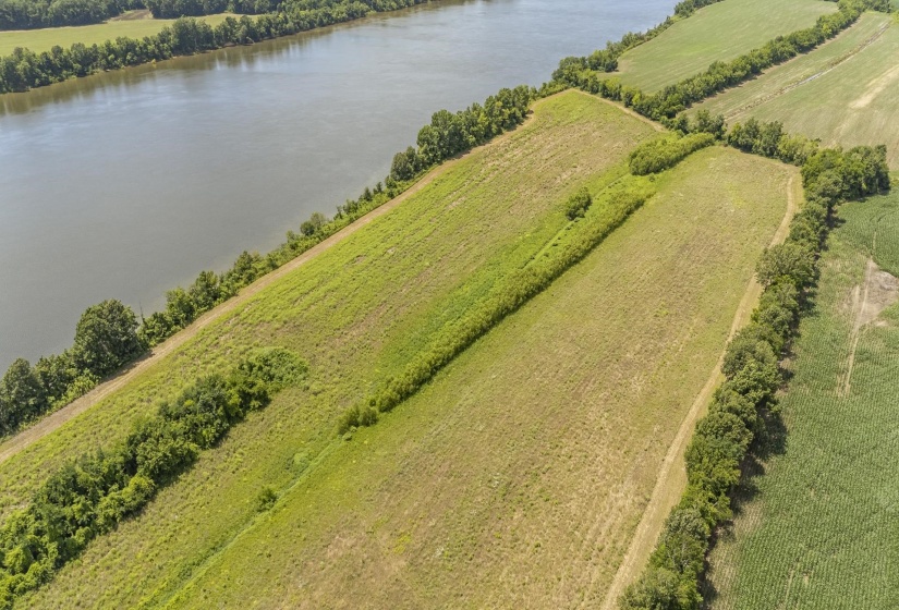 10157 CLIFTON RD, Savannah, Tennessee 38372, ,Land,For Sale,CLIFTON,10223864