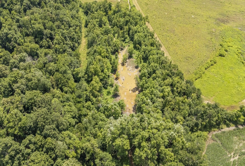 10157 CLIFTON RD, Savannah, Tennessee 38372, ,Land,For Sale,CLIFTON,10223864