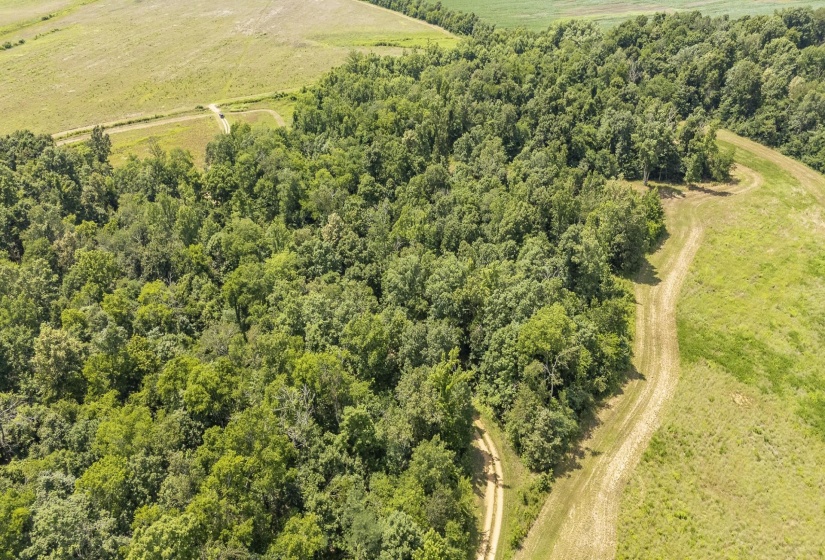 10157 CLIFTON RD, Savannah, Tennessee 38372, ,Land,For Sale,CLIFTON,10223864