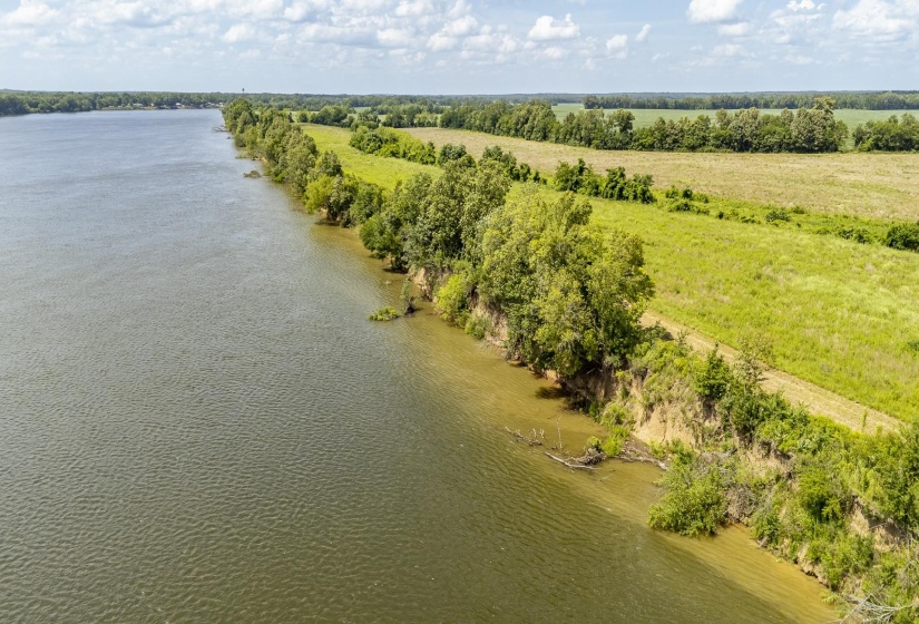 10157 CLIFTON RD, Savannah, Tennessee 38372, ,Land,For Sale,CLIFTON,10223864