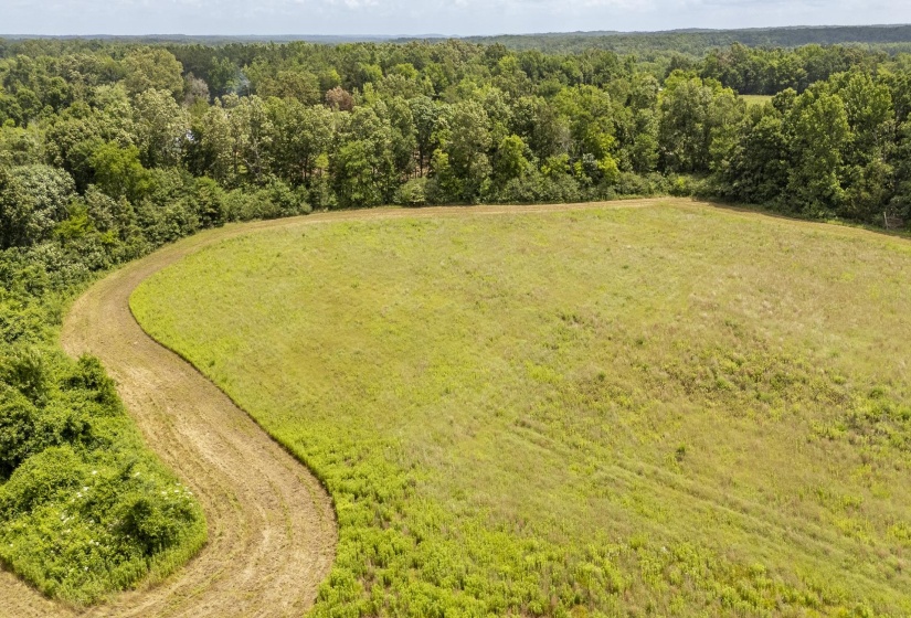 10157 CLIFTON RD, Savannah, Tennessee 38372, ,Land,For Sale,CLIFTON,10223864