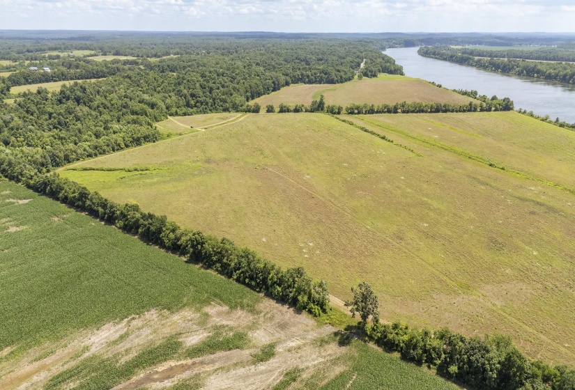 10157 CLIFTON RD, Savannah, Tennessee 38372, ,Land,For Sale,CLIFTON,10223864