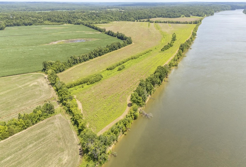10157 CLIFTON RD, Savannah, Tennessee 38372, ,Land,For Sale,CLIFTON,10223864