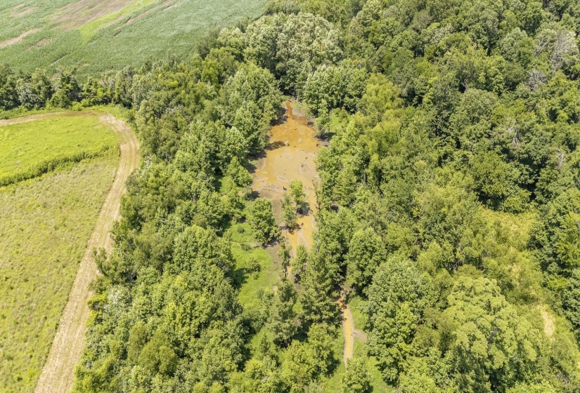 10157 CLIFTON RD, Savannah, Tennessee 38372, ,Land,For Sale,CLIFTON,10223864