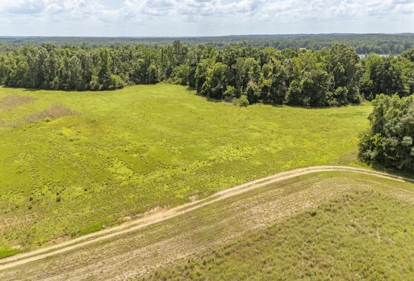 10157 CLIFTON RD, Savannah, Tennessee 38372, ,Land,For Sale,CLIFTON,10223864