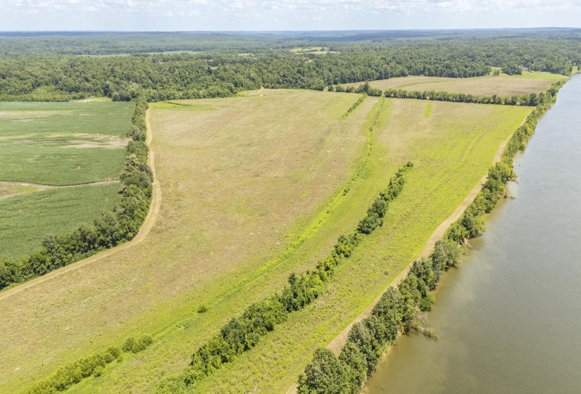 10157 CLIFTON RD, Savannah, Tennessee 38372, ,Land,For Sale,CLIFTON,10223864