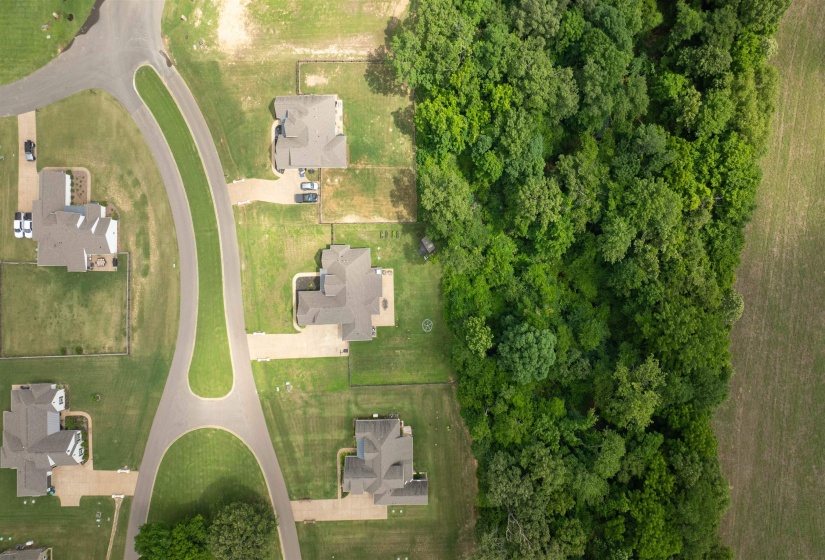 55 MADELINE BLVD, Piperton, Tennessee 38017, 5 Bedroom Bedrooms, 8 Room Rooms,3 BathroomBathrooms,Residential,For Sale,MADELINE,0,10223807