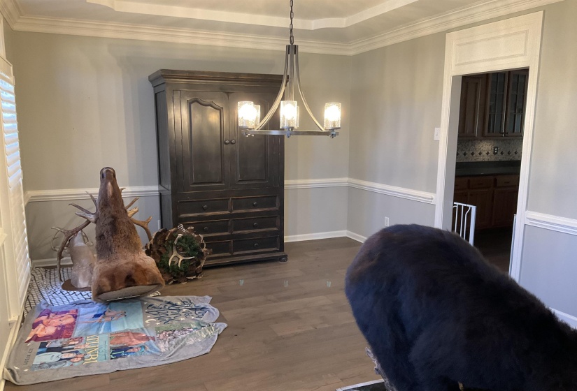 911 HATTON ST, Collierville, Tennessee 38017, 5 Bedrooms Bedrooms, 10 Rooms Rooms,3.1 BathroomsBathrooms,Rental Properties,For Sale,HATTON,10223881