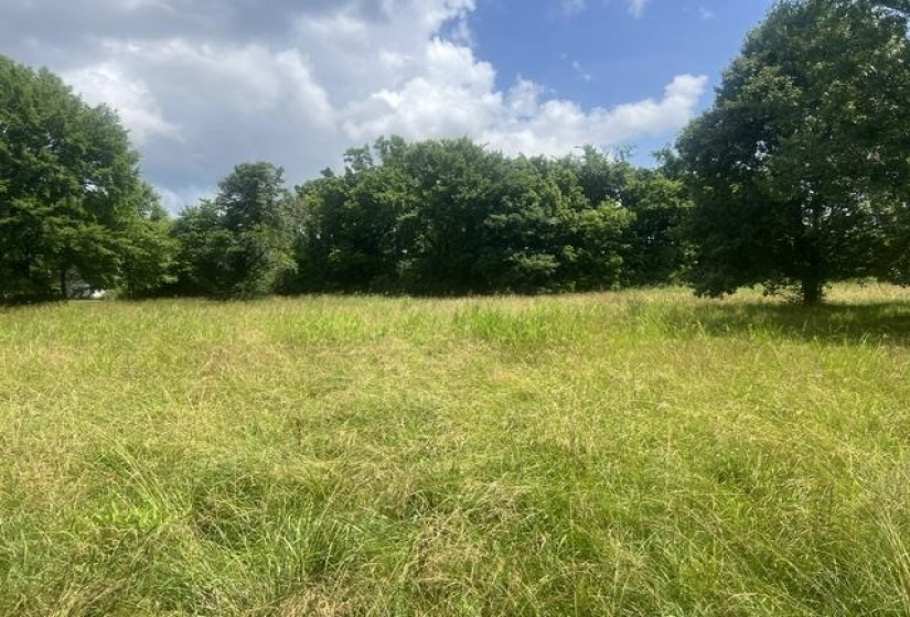 8330 18 HWY, Hickory Valley, Tennessee 38042, 0 , 0 ,0,Land,For Sale,18,0,10223889