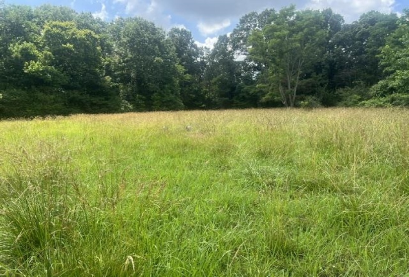8330 18 HWY, Hickory Valley, Tennessee 38042, 0 , 0 ,0,Land,For Sale,18,0,10223889