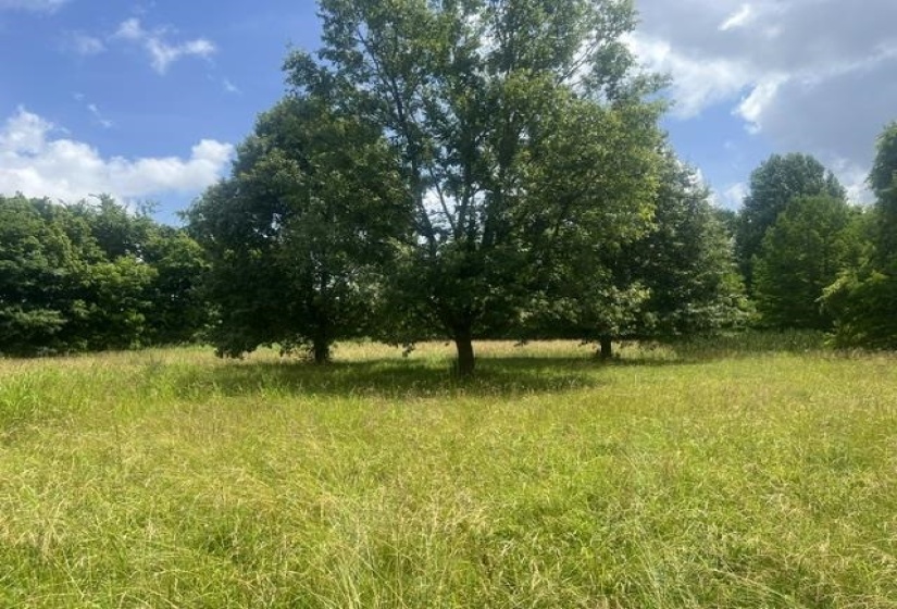 8330 18 HWY, Hickory Valley, Tennessee 38042, 0 , 0 ,0,Land,For Sale,18,0,10223889