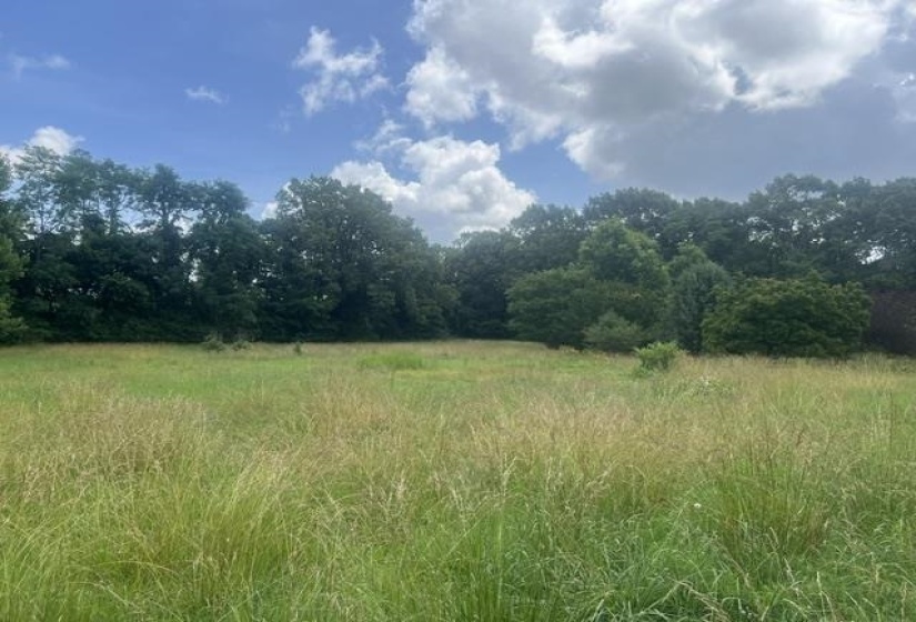 8330 18 HWY, Hickory Valley, Tennessee 38042, 0 , 0 ,0,Land,For Sale,18,0,10223889
