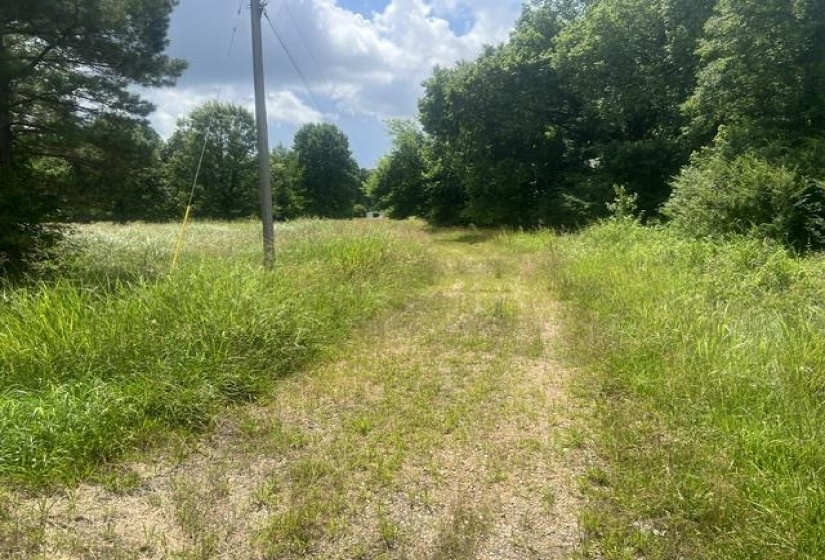 8330 18 HWY, Hickory Valley, Tennessee 38042, 0 , 0 ,0,Land,For Sale,18,0,10223889