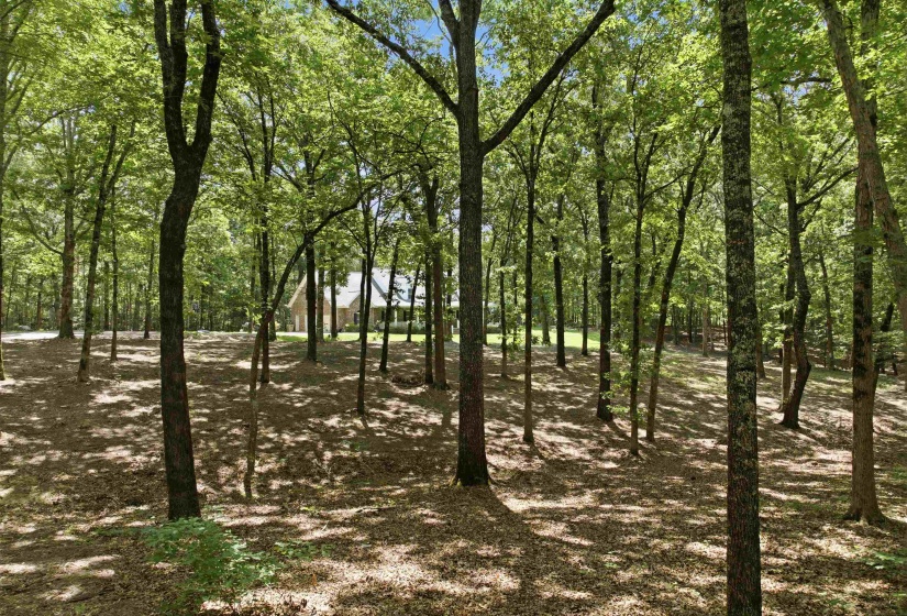 3295 REHOBOTH RD, Somerville, Tennessee 38068, 5 Bedrooms Bedrooms, 12 Rooms Rooms,4 BathroomsBathrooms,Residential,For Sale,REHOBOTH,10223894