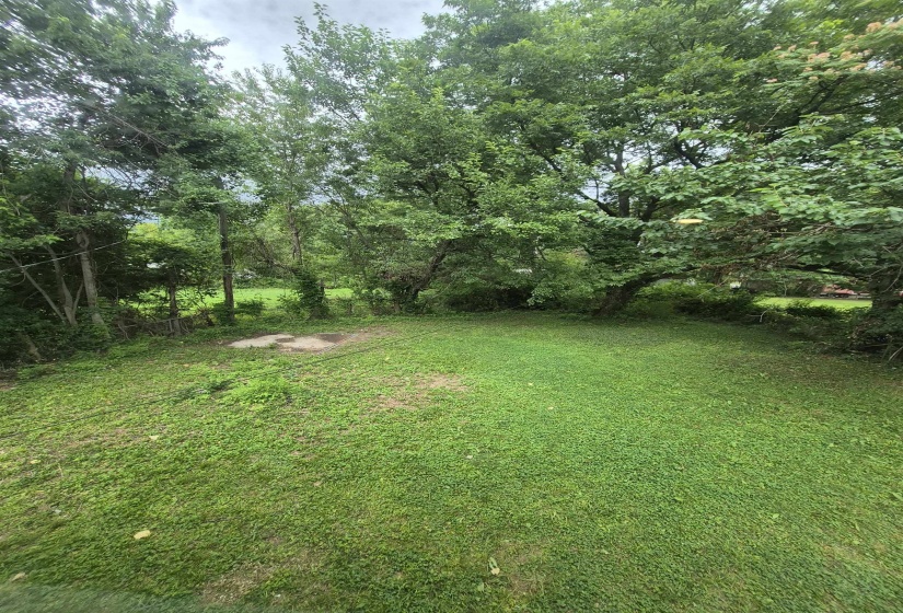 Expansive grassy lawn bordered by mature trees