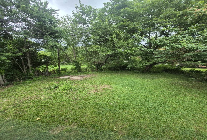 Expansive lawn area surrounded by mature trees and natural landscaping