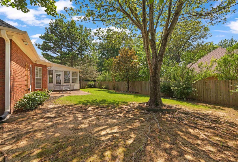 Expansive backyard featuring a mature tree, a sunroom extension, a brick exterior, a concrete patio, and a wooden privacy fence