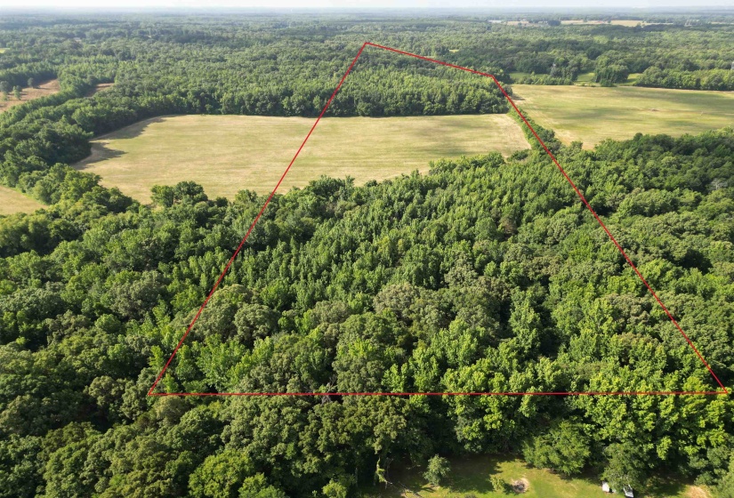 1465 BOBBITT RD, Williston, Tennessee 38076, ,Land,For Sale,BOBBITT,10223915