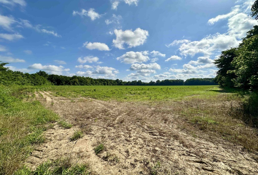 1465 BOBBITT RD, Williston, Tennessee 38076, ,Land,For Sale,BOBBITT,10223915