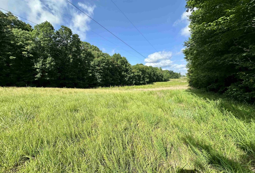 1465 BOBBITT RD, Williston, Tennessee 38076, ,Land,For Sale,BOBBITT,10223915