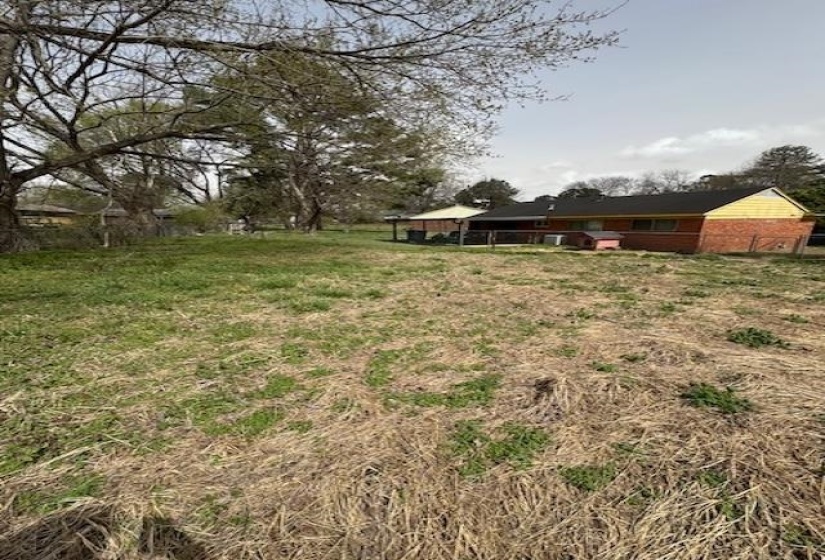 View of green lawn