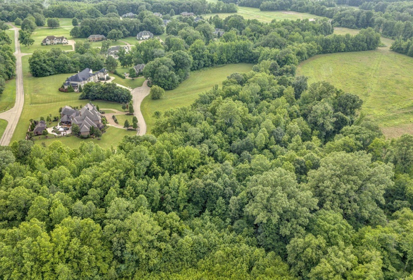 280 MONTEREY FARMS CV, Unincorporated, Tennessee 38017, 0 , 0 ,0,Land,For Sale,MONTEREY FARMS,0,10223934