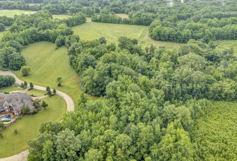 280 MONTEREY FARMS CV, Unincorporated, Tennessee 38017, 0 , 0 ,0,Land,For Sale,MONTEREY FARMS,0,10223934