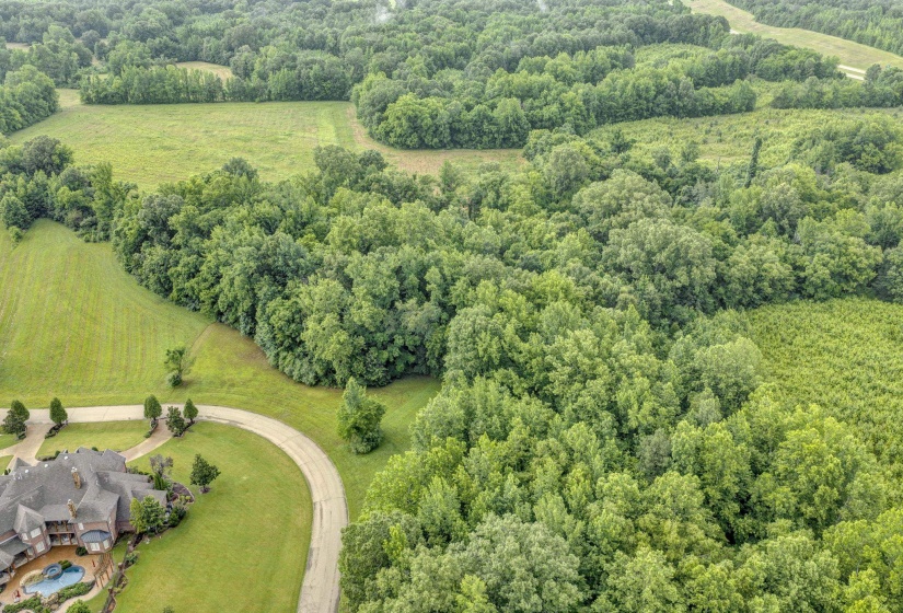 272 MONTEREY FARMS CV, Unincorporated, Tennessee 38017, 0 , 0 ,0,Land,For Sale,MONTEREY FARMS,0,10223936