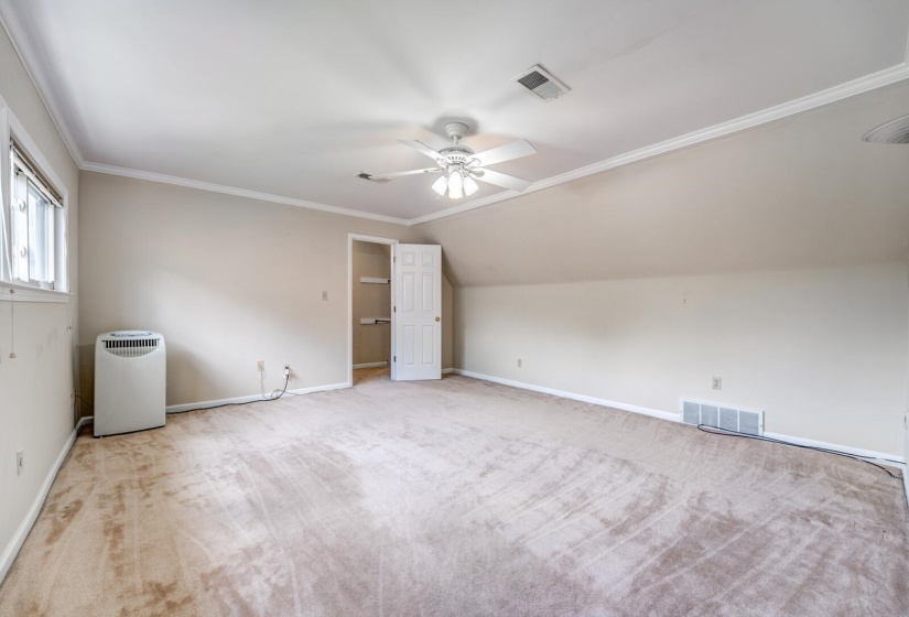 Spacious carpeted room featuring a ceiling fan, crown molding, and a closet with shelving