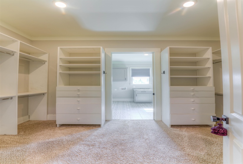 Walk-in closet featuring built-in shelving, integrated drawers, and carpet flooring