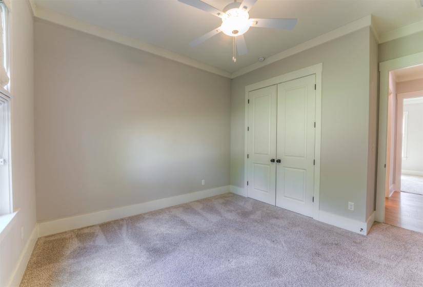 Carpeted room featuring a ceiling fan with integrated lighting, dual paneled closet doors with dark hardware, and crown molding