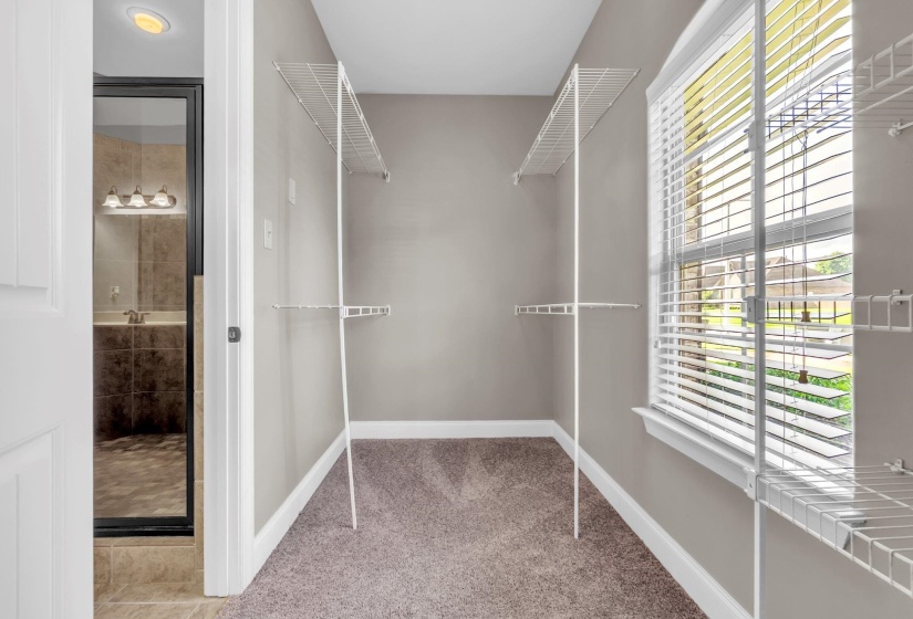 Walk-in closet with wire shelving system, neutral carpeting, and a window with blinds